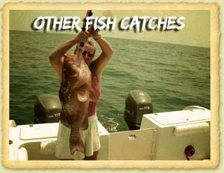Other Fish To Catch