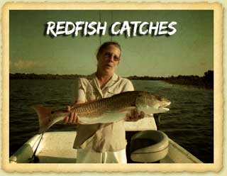 Redfish Fishing Catches