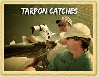 The Thrill Of Tarpon Fishing